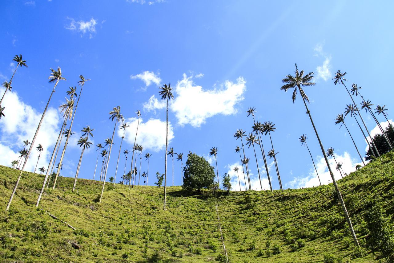 Palmas De Cocora Guest House Salento Luaran gambar