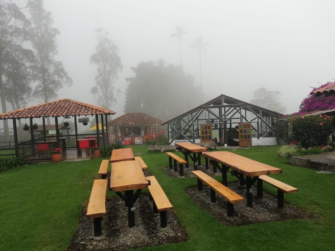 Palmas De Cocora Guest House Salento Luaran gambar